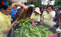 Hoi An hosts first Cam Nam sticky corncob festival