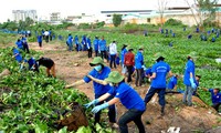 Vietnam, Japan hold environment policy dialogue in Hanoi