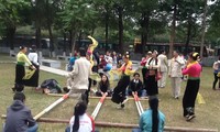 Hanoi celebrates Lunar New Year 2017