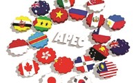 APEC Year 2017: Vietnam promotes international integration 