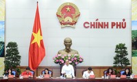 Promoting Vietnam Red Cross’s role in ensuring social welfare 