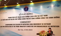 Global nutrition movement promoted in Vietnam