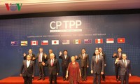 CPTPP marks Vietnam’s new level of international integration 