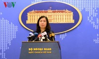 FM spokesperson: Vietnam concerned about current situation in Syria