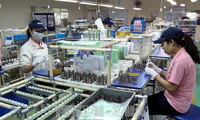 FDI, Vietnamese enterprises urged to further collaboration 