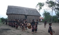 Central Highlands preserve gong cultural space 