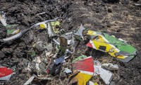 Ethiopia declares national mourning day for victims of plane crash 