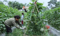 1.97 billion USD in ODA allocated for agricultural development 