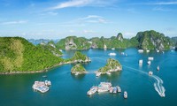 Vietnam named among top 5 popular destinations for Japanese tourists