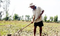 Deputy PM works on drought, salination prevention in Mekong delta 