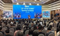 Vietnam promotes ASEAN consensus 