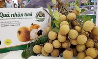 Fresh Vietnamese longan on sale in Australian market