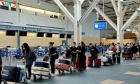 Vietnamese citizens repatriated from Canada amid COVID-19