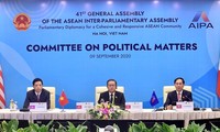 AIPA seeks to promote regional peace, security and structural order