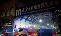 WHO team arrives at Wuhan seafood market as part of search for origin of coronavirus 