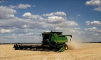 Australia moves to sue China to WTO over barley import duties