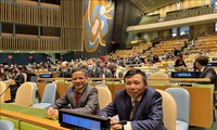 Vietnam re-elected to UN International Law Commission