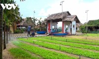 Hoi An, a world cultural heritage site, built into green tourism model 