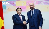 Vietnam, EU leaders discuss bilateral cooperation 