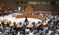 UN elects five new non-permanent members of Security Council