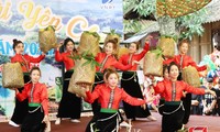 2024 mango festival opens in Yen Chau