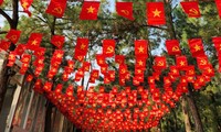 Vietnamese jubilantly celebrate National Day 