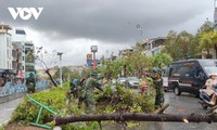 Northern Vietnam battles landslides, floods, death toll from Typhoon Yagi rises to 71