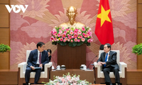 Vietnam considers Japan a top important, long-term partner: NA Chairman