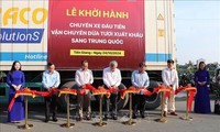 Tien Giang exports first batch of coconuts to China 