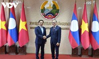 Vietnam, Laos hold foreign minister-level political consultation