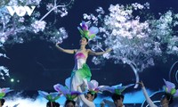 Bauhinia flower festival adorns northwestern mountains 