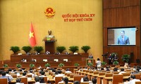 Lawmakers pass Resolution on special mechanisms for private economic development