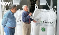 Vietnam among first countries to export low-emission rice 
