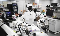 World's first humanoid robot games open in Beijing with "Smart Core" lighting 