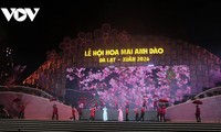 Cherry blossom festival opens in Da Lat 