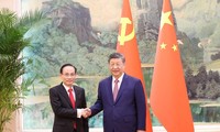 Vietnam willing to work with China to advance on new development path 