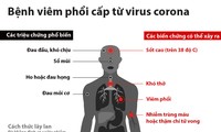 中国冠状病毒感染的肺炎疫情：死亡病例升至425例