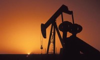 Цены на нефть выросли после сообщения России о заморозке добычи