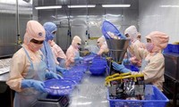 Устойчивое развитие отрасли морепродуктов Вьетнама