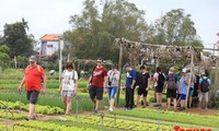 Количество иностранных туристов, посетивших Вьетнам, продолжает увеличиваться