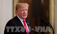 Президент США Дональд Трамп примет участие в 11-х предвыборных кампаниях 