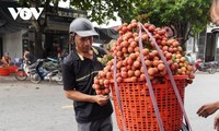 Крестьяне провинции Хайзыонг ускоряют цифровую трансформацию