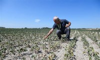 Председатель COP27 предупредил о препятствиях на пути к цели ограничения глобального потепления