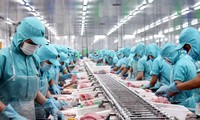 Экспорт морепродуктов Вьетнама может достигнуть 11 миллиардов долларов США