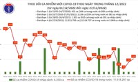 По состоянию на 27 декабря во Вьетнаме выявлено более 200 случаев COVID-19