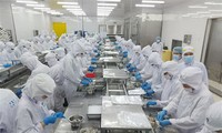 США вернули себе позицию крупнейшего рынка импорта вьетнамских морепродуктов 