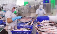 Экспорт сельскохозяйственной, лесной и рыбной продукции в январе 2024 года вырос более чем на 79%