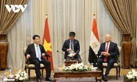 Президент Лыонг Кыонг провёл встречу с председателем Палаты представителей Египта 
