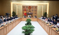 Премьер-министр Фам Минь Тинь призвал Японию продолжить сопровождать Вьетнам в реализации проектов ОПР нового поколения