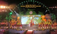 3rd Ben Tre Coconut Festival concludes